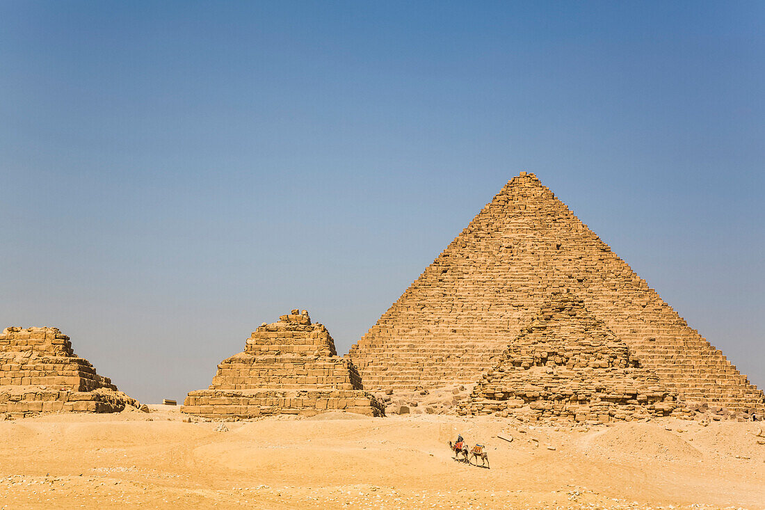 Einheimischer mit Kamelen, Große Pyramide von Gizeh, Pyramidenkomplex von Gizeh, UNESCO-Welterbe, Gizeh, Ägypten