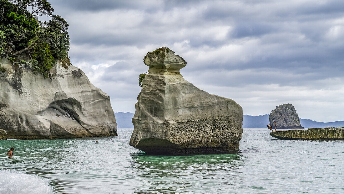 Accessible only on foot or by boat,famous Cathedral Cove is one of the must visit sites on The Coromandel. Swimmers enjoy the beach and playing in the water,Waikato Region,New Zealand