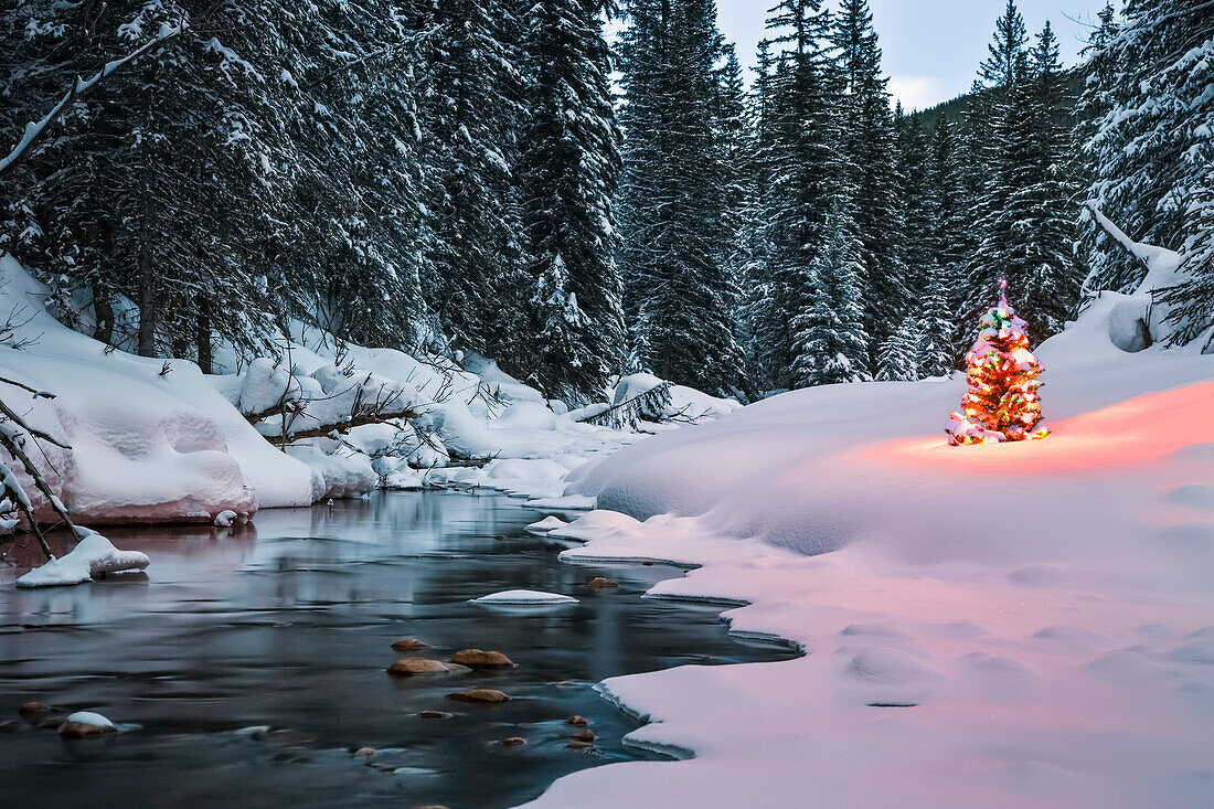 An evergreen tree is illuminated with Christmas lights on a snowy landscape by a tranquil river and forest in the Rocky Mountains,British Columbia,Canada