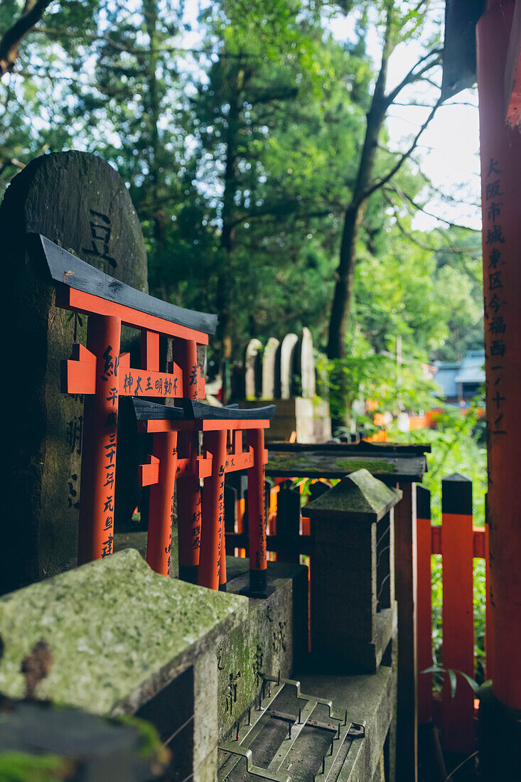 Torii-Tore von Fushimi Inari Taisha, Kyoto, Kansai, Japan