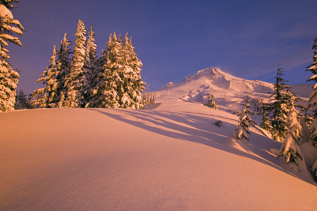 Mount Hood wilderness in winter at sunrise,with untouched deep snow reflecting warm pink light and a blue sky,Oregon,United States of America