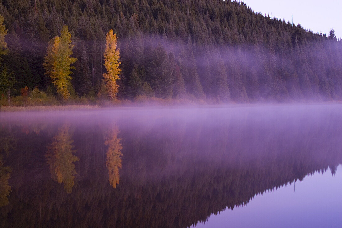 Nebel über einem ruhigen Trillium Lake bei Sonnenaufgang, Mount Hood National Forest, Oregon, Vereinigte Staaten von Amerika