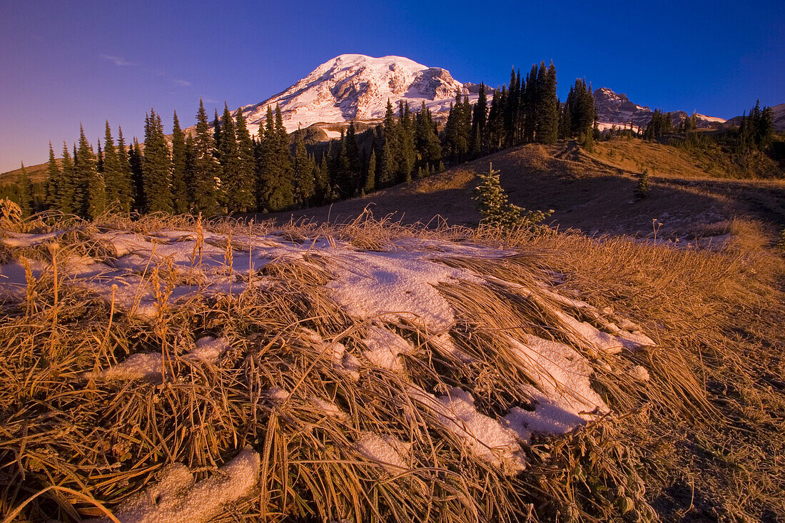 Schnee auf einer Bergwiese am Mount Rainier mit dem Gipfel vor einem strahlend blauen Himmel, Mount Rainier National Park, Washington, Vereinigte Staaten von Amerika