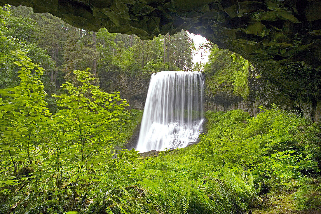 Wasserfälle im Silver Falls State Park, umgeben von üppig grünem Laub,Oregon,Vereinigte Staaten von Amerika