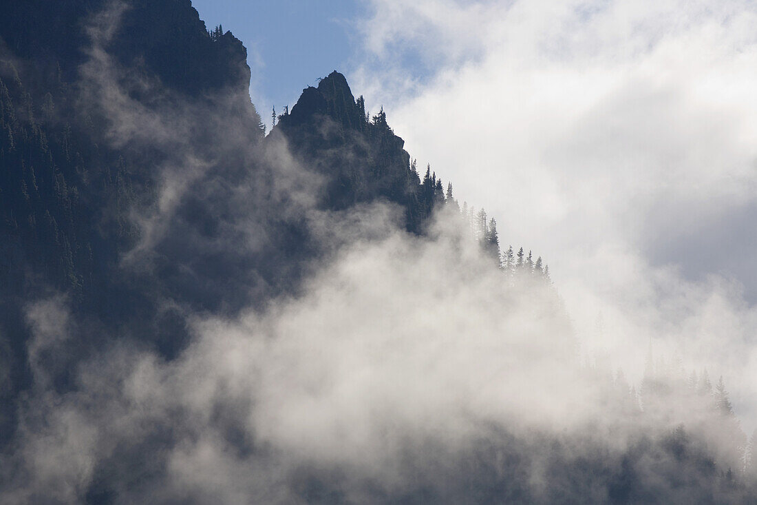 Cloud obscuring mountain peaks,Mount Rainier National Park,Washington,United States of America