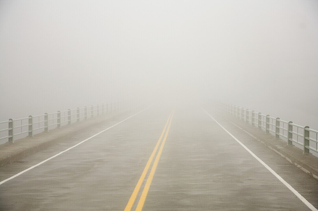 Eine zweispurige, von Leitplanken gesäumte Straße im Nebel, Mount Rainier National Park,Washington,Vereinigte Staaten von Amerika