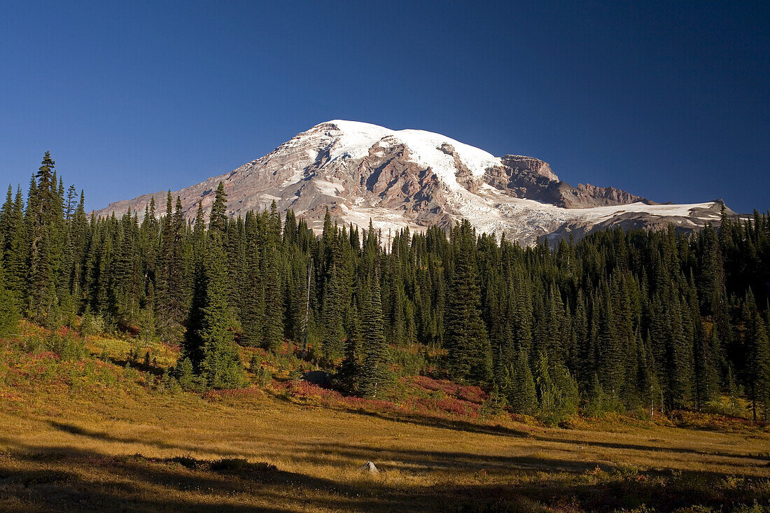 Mount Rainier and forest,Mount Rainier National Park,Washington,United States of America