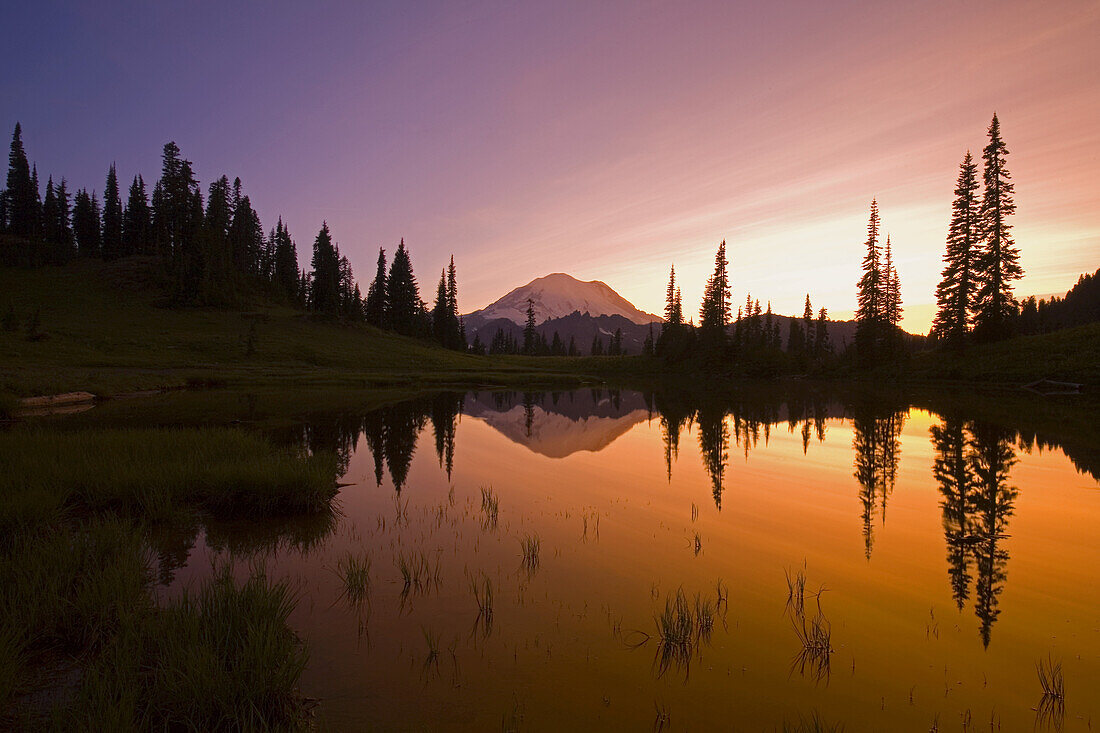 Mirror image of Mount Rainier and forest reflected in Tipsoo Lake at sunrise,Mount Rainier National Park,Washington,United States of America