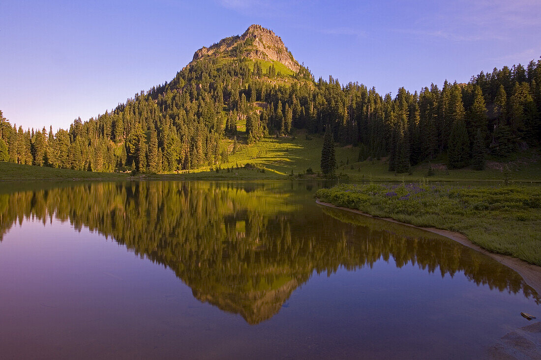 Spiegelbild eines Berggipfels und Waldes im Tipsoo Lake bei Sonnenaufgang, Mount Rainier National Park, Washington, Vereinigte Staaten von Amerika