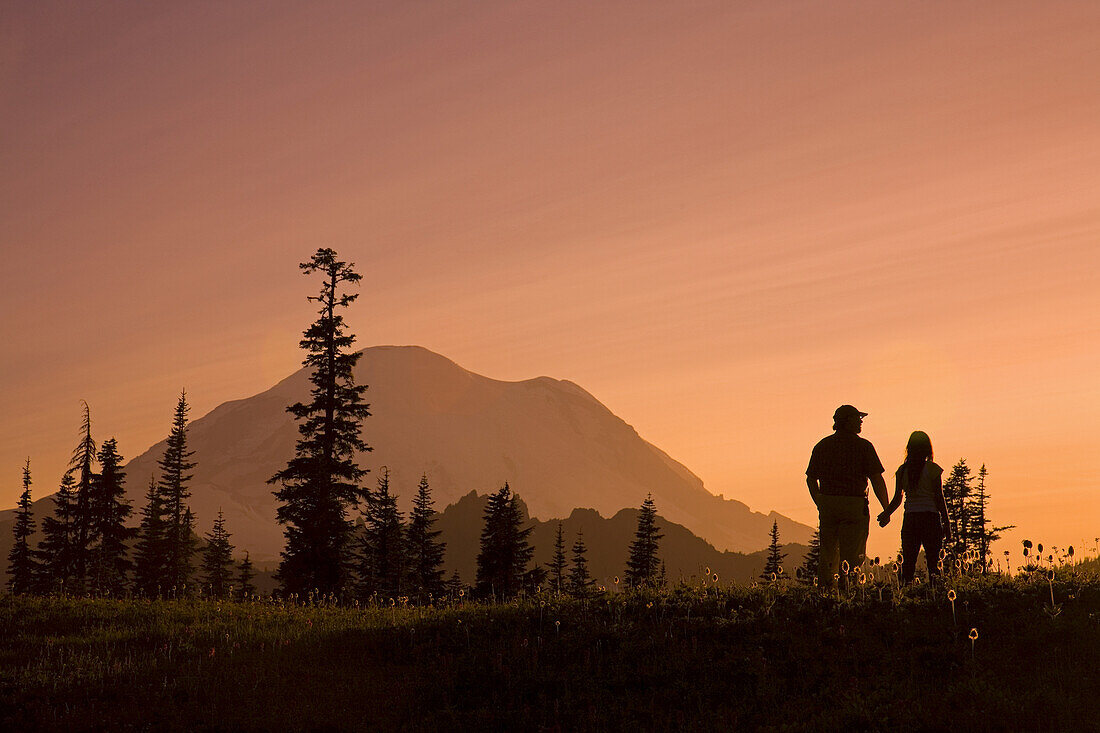 Father and daughter stand holding hands in an alpine meadow and look out at the beauty of nature during sunset in Mount Rainier National Park,Washington,United States of America