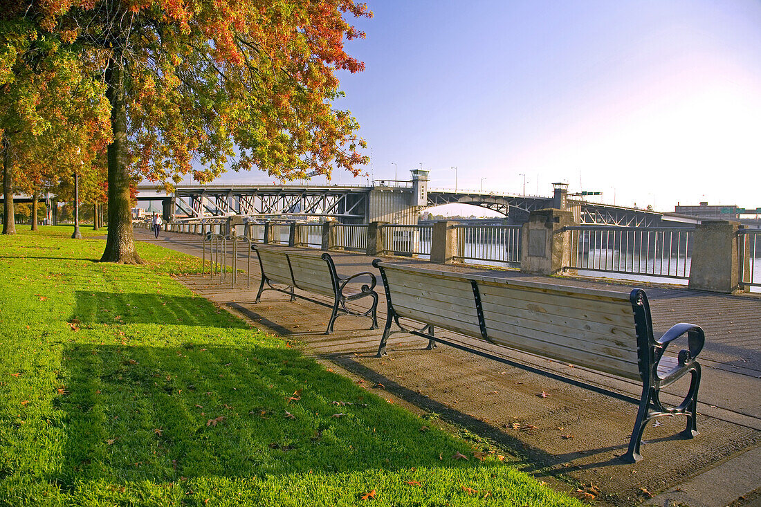 Morrison Bridge über den Willamette River von einer Parkanlage am Wasser aus gesehen, Portland, Oregon, Vereinigte Staaten von Amerika
