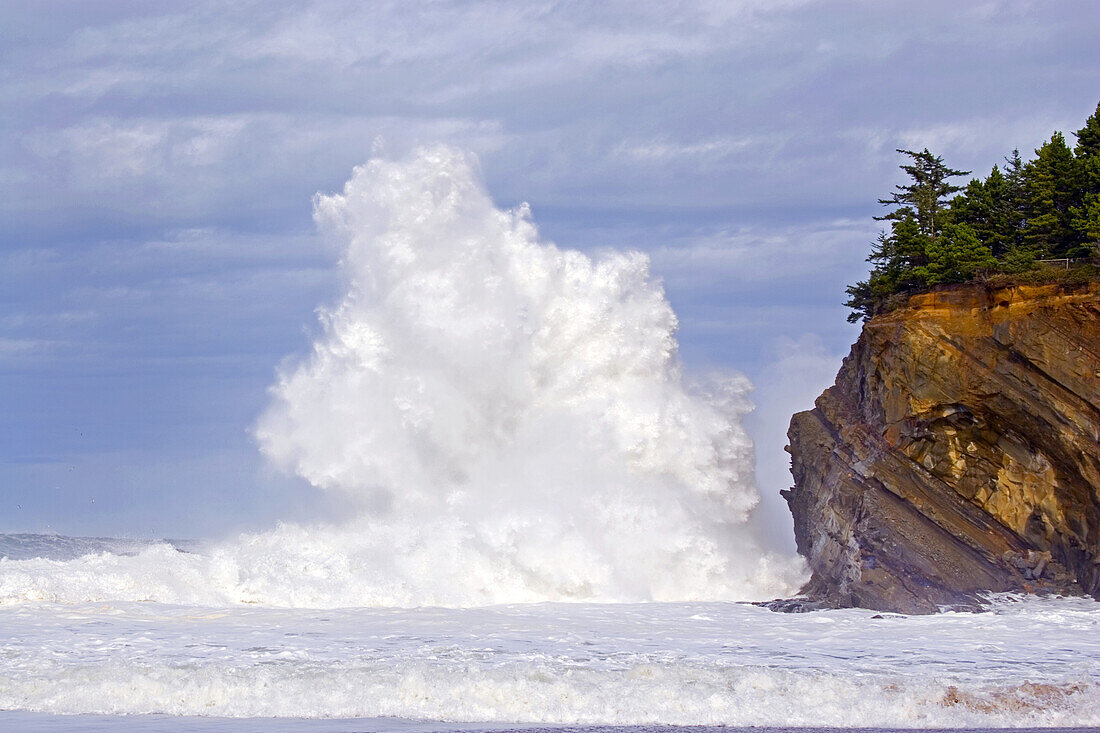 Große Welle, die auf das Ufer prallt, Shore Acres State Park, Oregon, Vereinigte Staaten von Amerika