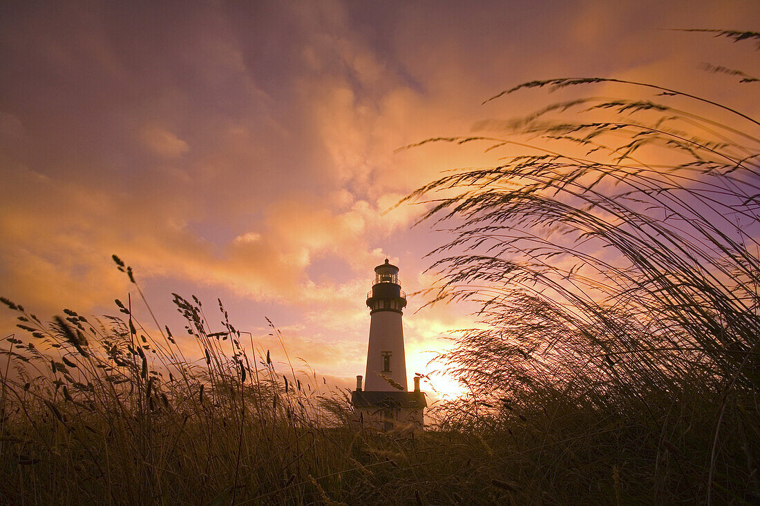 Yaquina Head Light an der Küste von Oregon bei Sonnenuntergang mit Gräsern im Vordergrund, Oregon, Vereinigte Staaten von Amerika