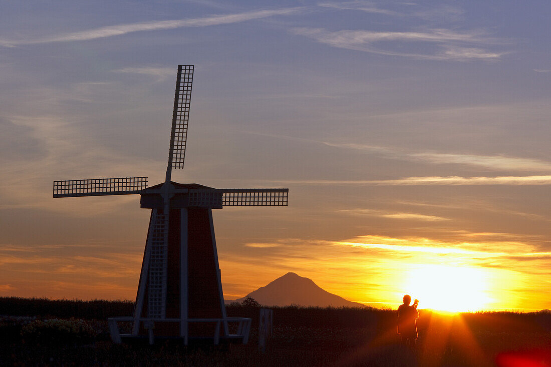 Silhouettierte Windmühle und Mount Hood mit einer Person, die in den Strahlen einer strahlenden Sonne bei Sonnenaufgang steht, Woodburn, Oregon, Vereinigte Staaten von Amerika