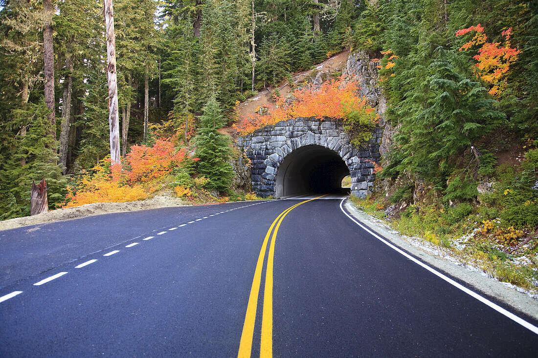 Straße durch einen Wald, die zu einem Tunnel mit herbstlich gefärbtem Laub im Mount Rainier National Park führt, Washington, Vereinigte Staaten von Amerika