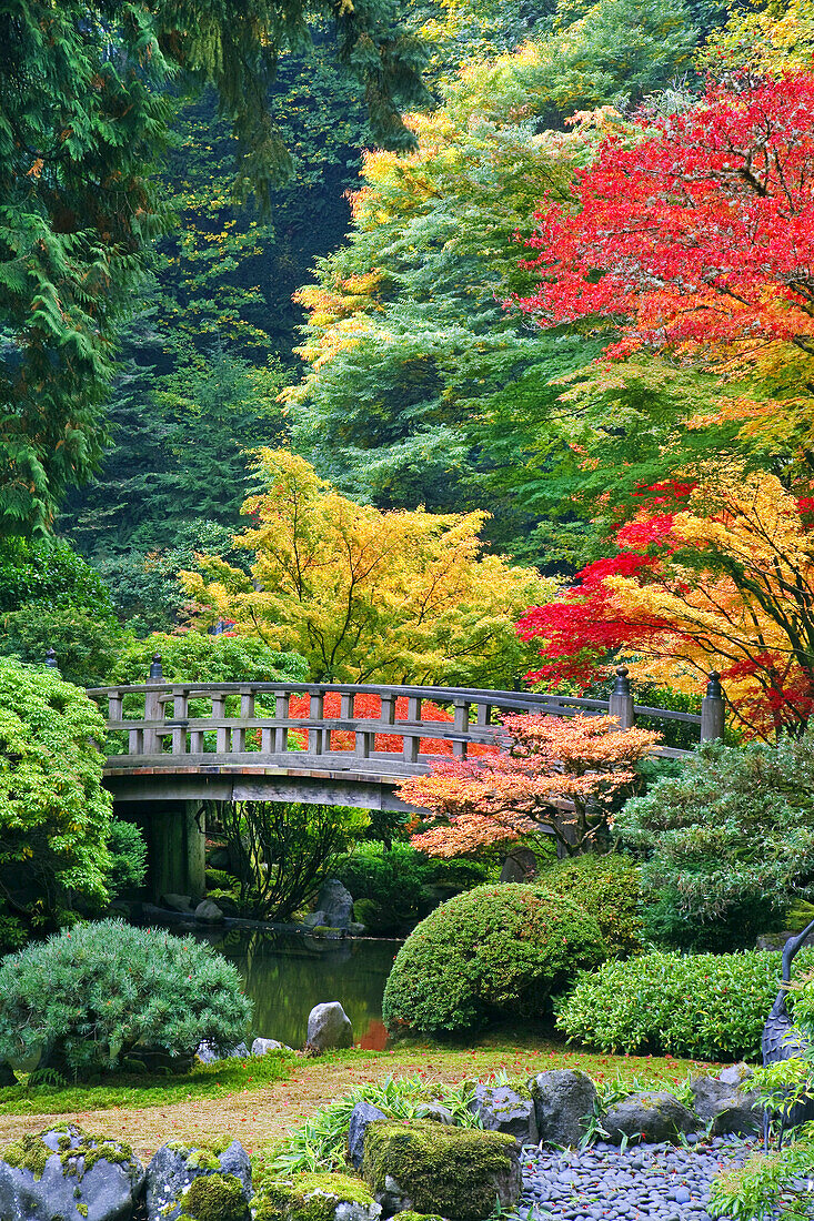 Herbstfarbenes Laub und ein Steg über einen Teich im Japanischen Garten von Portland,Portland,Oregon,Vereinigte Staaten von Amerika