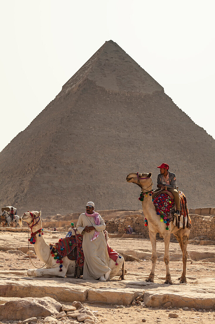 Camels and riders at the Pyramid of Khafre,Giza Plateau,Ancient Egypt,Giza,Egypt