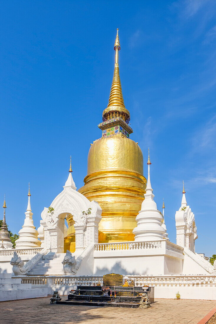 Chedi im Wat Suan Dok, Chiang Mai, Provinz Chiang Mai, Thailand