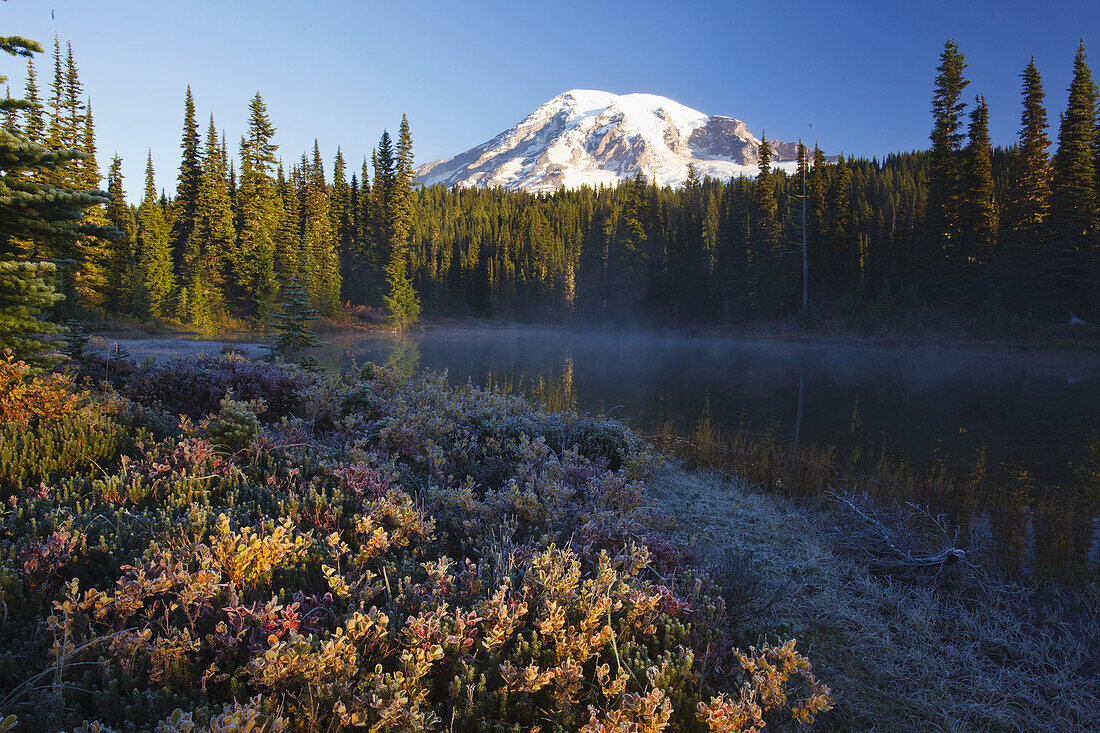 Snow-covered Mount Rainier at sunrise,with frosty vegetation on the shore of Reflection Lake and mist rising up from the water,Washington,United States of America