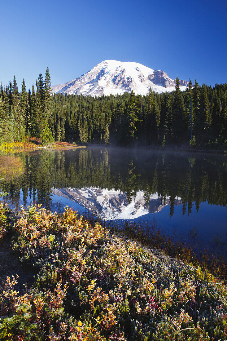 Schneebedeckter Mount Rainier bei Sonnenaufgang, mit frostiger Vegetation am Ufer und Nebel, der aus dem Wasser des Reflection Lake aufsteigt, Washington, Vereinigte Staaten von Amerika