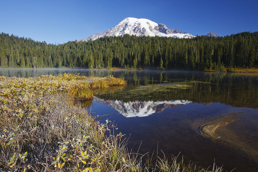 Schneebedeckter Mount Rainier bei Sonnenaufgang, mit frostiger Vegetation am Ufer und Nebel, der aus dem Wasser des Reflection Lake aufsteigt, Washington, Vereinigte Staaten von Amerika