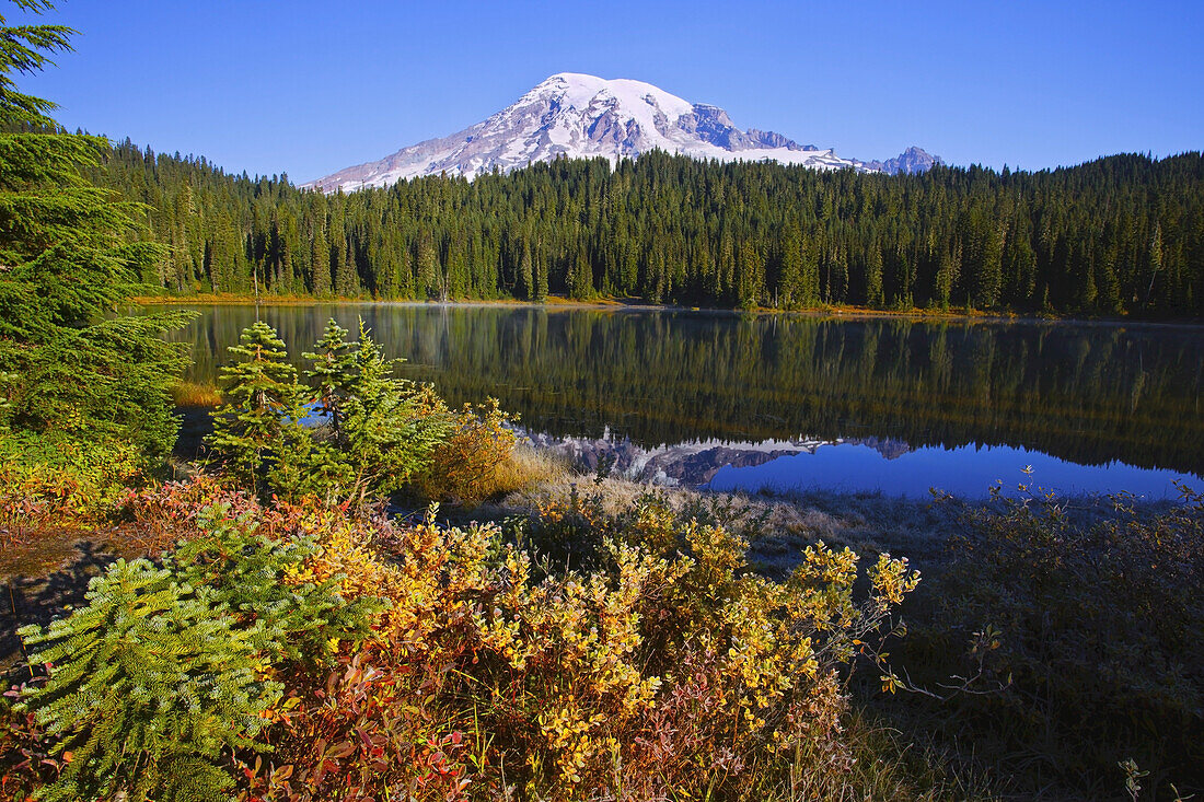 Schneebedeckter Mount Rainier, mit herbstlicher Vegetation am Ufer und Spiegelungen im Wasser des Reflection Lake, Washington, Vereinigte Staaten von Amerika