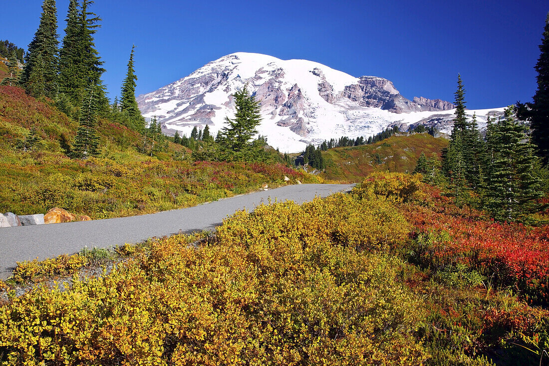 Trail and autumn coloured foliage leading up to a snow-covered mountain,Washington,United States of America