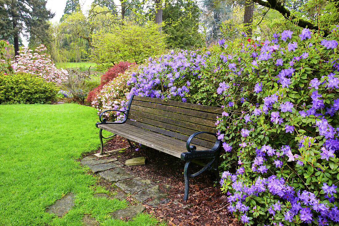 Blühende Pflanzen und eine Bank in einem üppigen botanischen Garten, Portland, Oregon, Vereinigte Staaten von Amerika