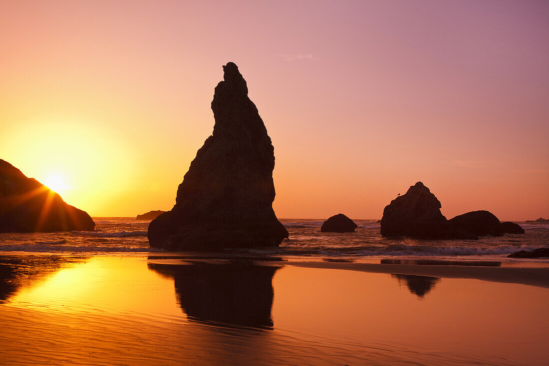 Zerklüftete Felsformationen entlang der Küste mit einer hellen Sonne, die bei Sonnenaufgang am Himmel leuchtet und sich auf dem nassen Sand in der Bandon State Natural Area an der Küste von Oregon spiegelt, Bandon, Oregon, Vereinigte Staaten von Amerika