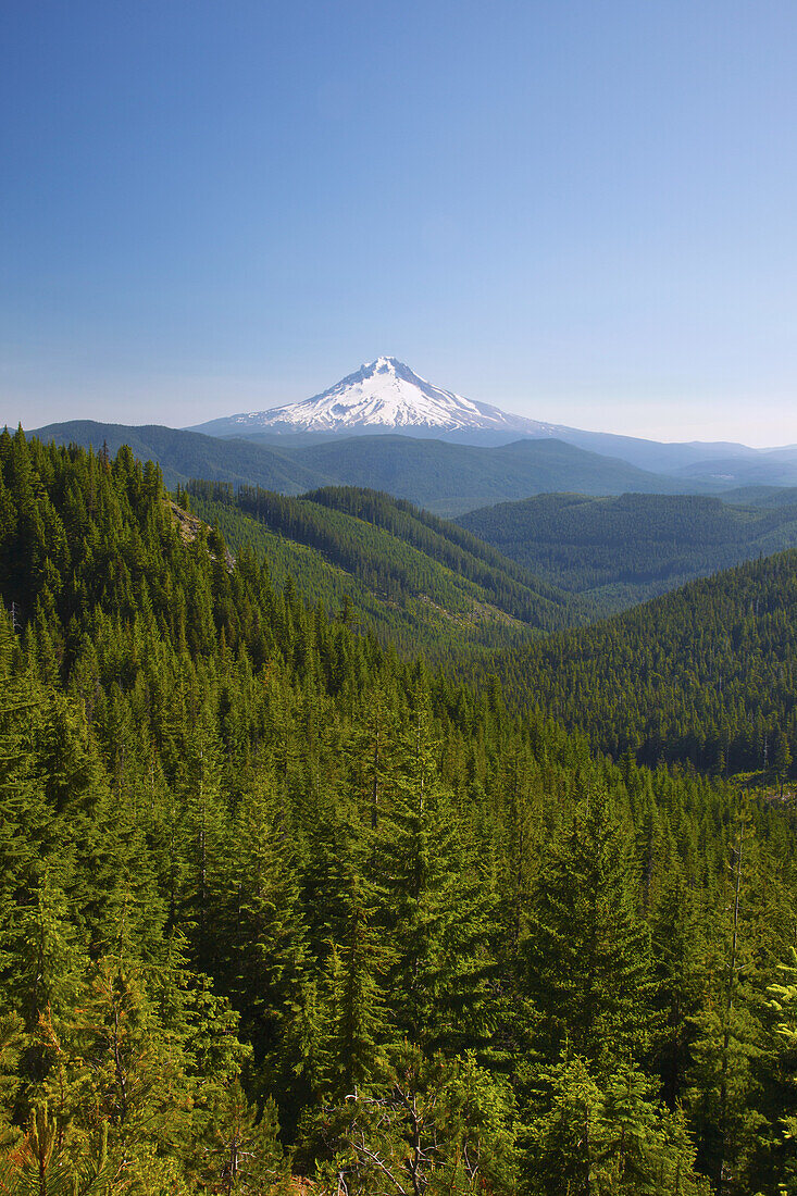 Der schneebedeckte Gipfel des Mount Hood in der Ferne und der Mount Hood National Forest im Vordergrund,Oregon,Vereinigte Staaten von Amerika