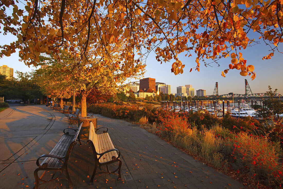 Spazierweg und Bänke entlang der Uferpromenade am Willamette River im Herbst,Portland,Oregon,Vereinigte Staaten von Amerika