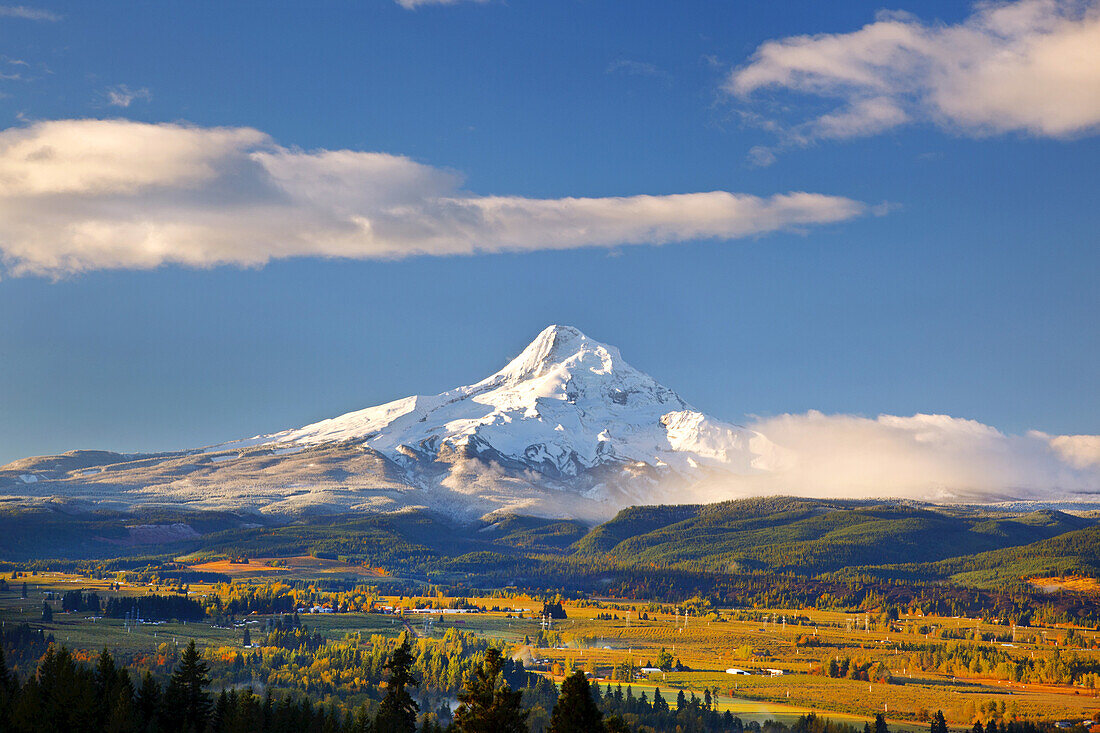 Majestätischer Mount Hood mit herbstlich gefärbtem Laub im Tal,Oregon,Vereinigte Staaten von Amerika