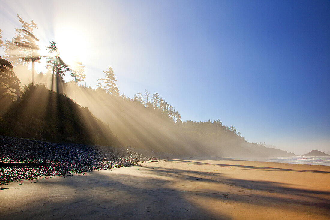 Sonnenstrahlen scheinen durch den Nebel und überspülen einen Strand an der Küste von Oregon, Oregon, Vereinigte Staaten von Amerika