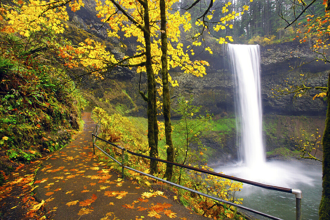 South Falls plätschert in ein Becken mit herbstlich gefärbtem Laub entlang eines Pfades im Silver Falls State Park, Oregon, Vereinigte Staaten von Amerika