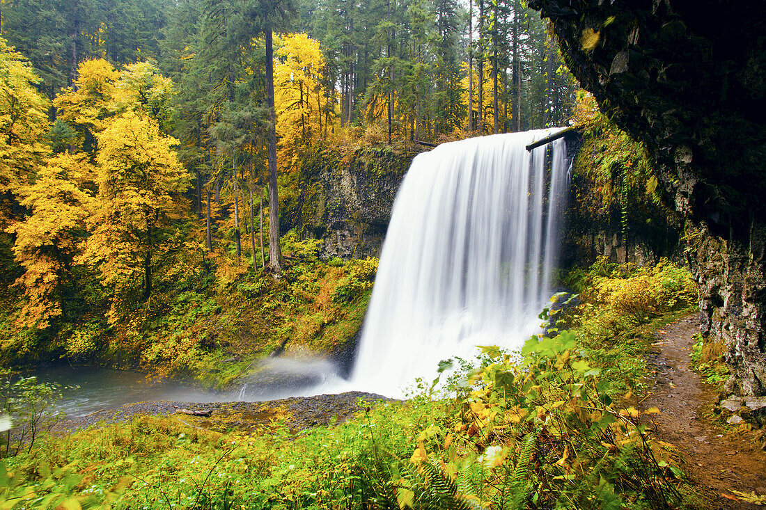 South Falls plätschert in ein Becken mit herbstlich gefärbtem Laub und einem Pfad, der hinter die Fälle führt, im Silver Falls State Park,Oregon,Vereinigte Staaten von Amerika