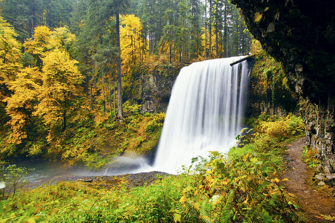 South Falls splashing into a pool with autumn coloured foliage and a trail leading behind the falls in Silver Falls State Park,Oregon,United States of America