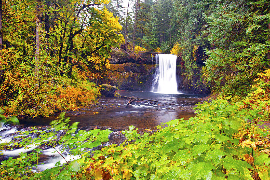 South Falls plätschert in ein Becken mit herbstlich gefärbtem Laub im Silver Falls State Park,Oregon,Vereinigte Staaten von Amerika