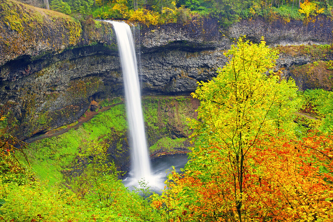 South Falls plätschert in ein Becken mit herbstlich gefärbtem Laub im Silver Falls State Park,Oregon,Vereinigte Staaten von Amerika