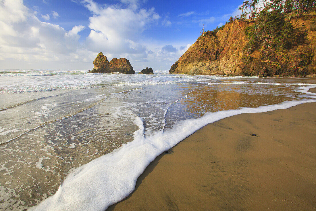 Oberflächenansicht von Meeresschaum in der Brandung am Strand entlang der Küste von Oregon, Oregon, Vereinigte Staaten von Amerika