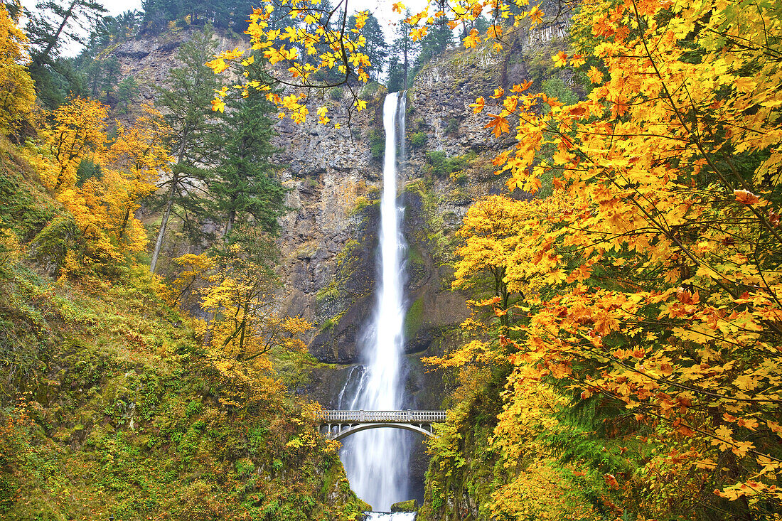 Multnomah Falls in autumn,Columbia River Gorge,Oregon,United States of America