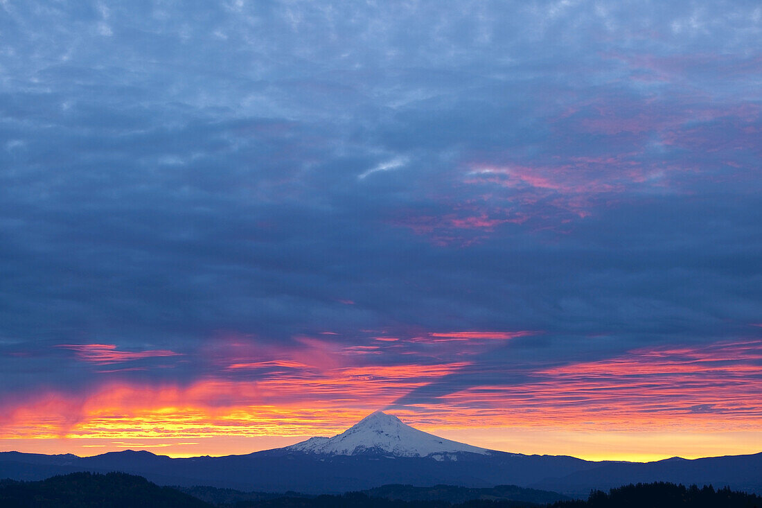 Schneebedeckter Mount Hood bei Sonnenaufgang, mit rosa und gelben Wolken, die über ihm leuchten, und einer Silhouette der Landschaft darunter, Pazifischer Nordwesten, Oregon, Vereinigte Staaten von Amerika