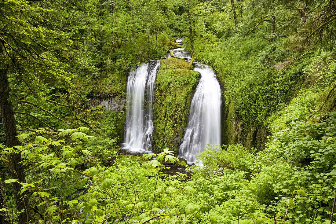 Wasserfälle und Bach in einer bewaldeten Landschaft mit üppigem Laub in der Columbia River Gorge,Oregon,Vereinigte Staaten von Amerika