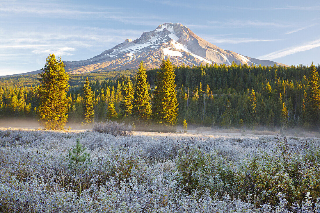 Mount Hood and Mount Hood National Forest with frost on the vegetation in the foreground,Oregon,United States of America