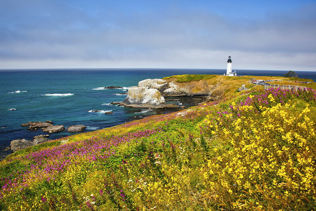 Yaquina Head Light an der Küste von Oregon und blühende bunte Wildblumen auf einer Wiese, Oregon, Vereinigte Staaten von Amerika