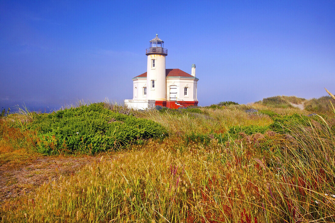 Coquille River Light an der Küste von Oregon mit Gräsern auf einem Feld im Vordergrund, Bandon, Oregon, Vereinigte Staaten von Amerika