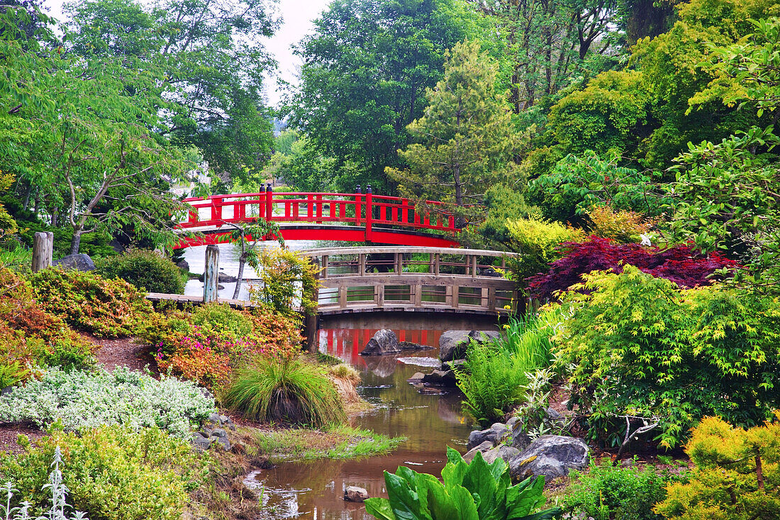 A tranquil pond and footbridges with a variety of lush and blossoming plants and trees at Shore Acres State Park,Oregon,United States of America