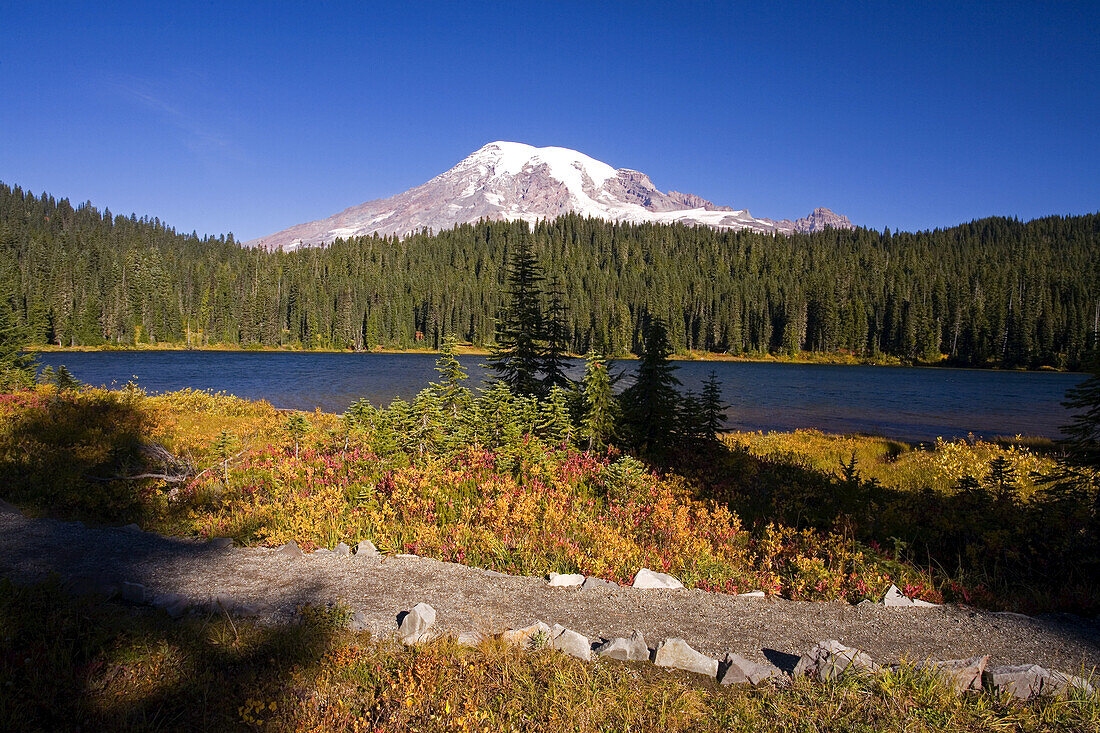 Herbstfarbenes Laub entlang eines Weges im Mount Rainier National Park, mit Mount Rainier, einem See und dichtem Wald, Washington, Vereinigte Staaten von Amerika