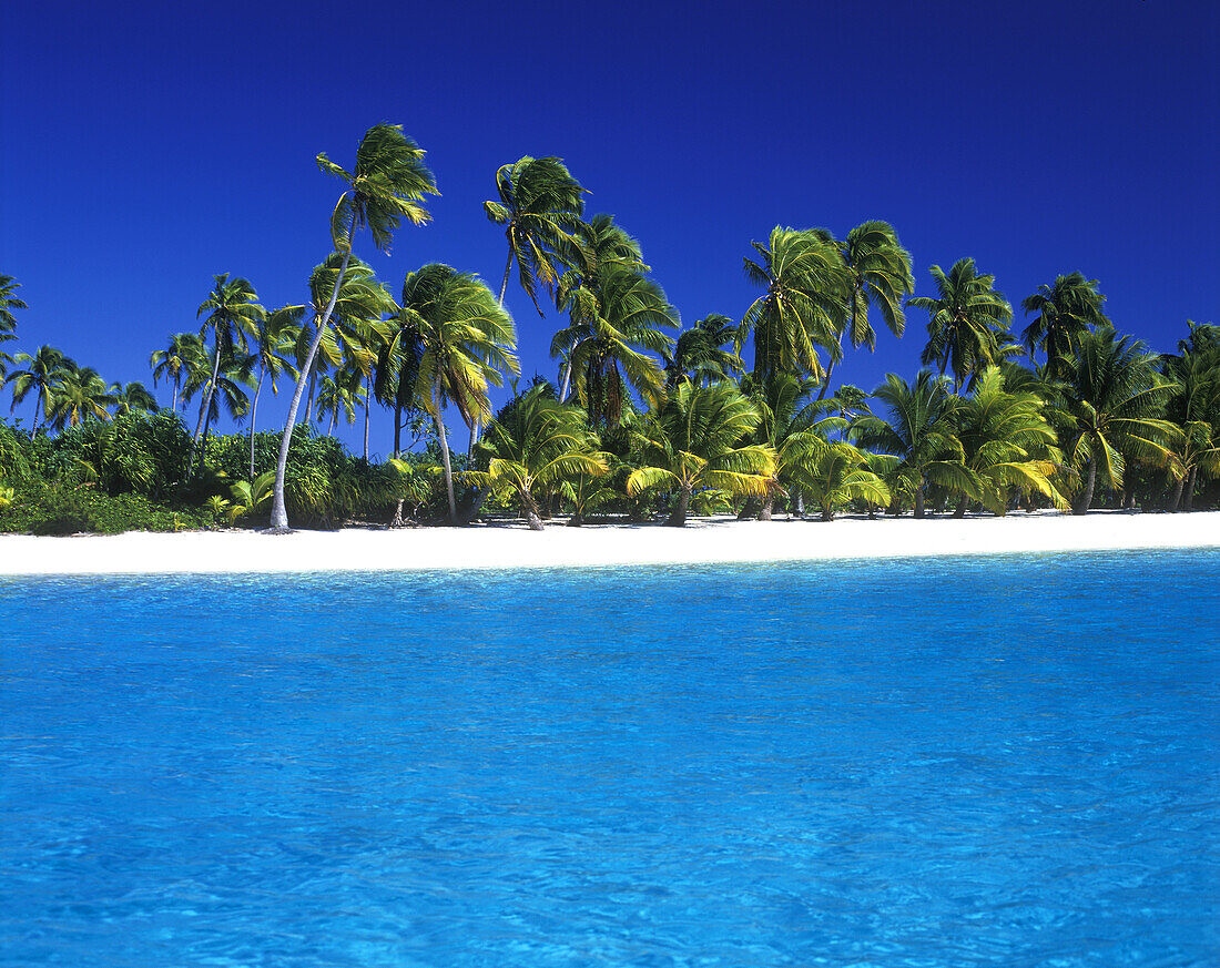 Küstenlinie einer tropischen Insel mit weißem Sand, Palmen und strahlend blauem Wasser und Himmel, One Foot Island, Aitutaki, Cook Islands