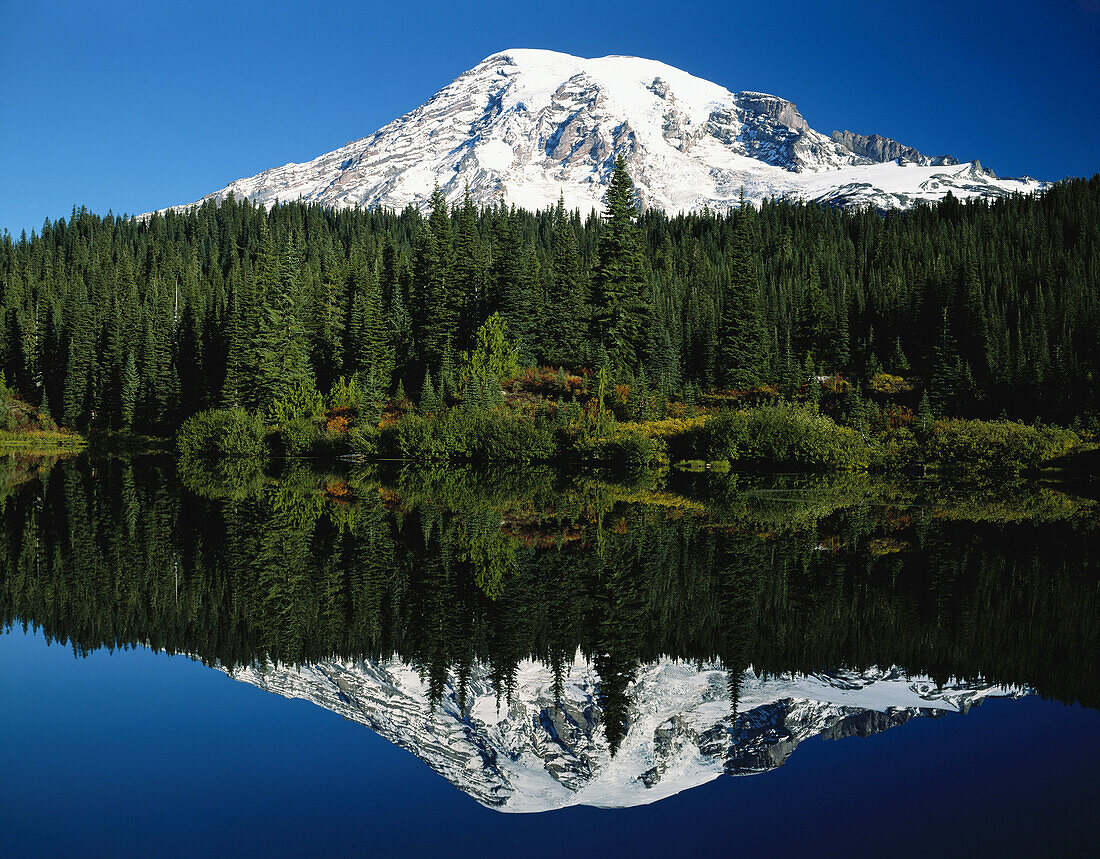 A mirror image reflection of snow-covered Mount Rainier and a forest in Mount Rainier National Park,Washington,United States of America