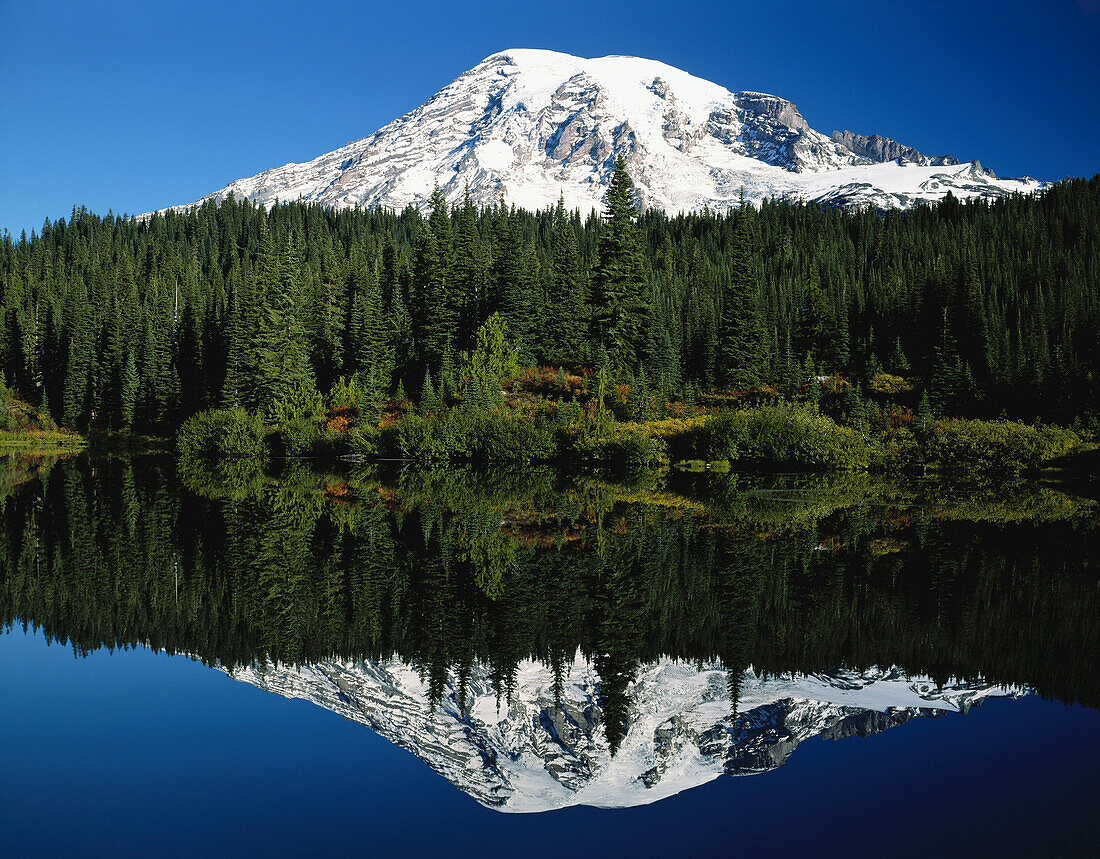Eine spiegelbildliche Reflexion des schneebedeckten Mount Rainier und eines Waldes im Mount Rainier National Park, Washington, Vereinigte Staaten von Amerika
